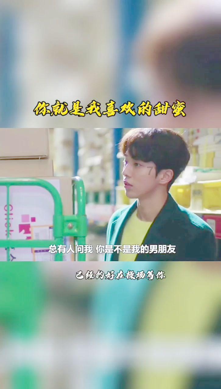 救援有趣的狮子